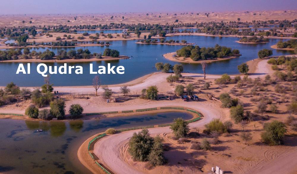 Al Qudra Lake offers a scenic retreat for visitors seeking a day of enjoyment without spending a penny.
