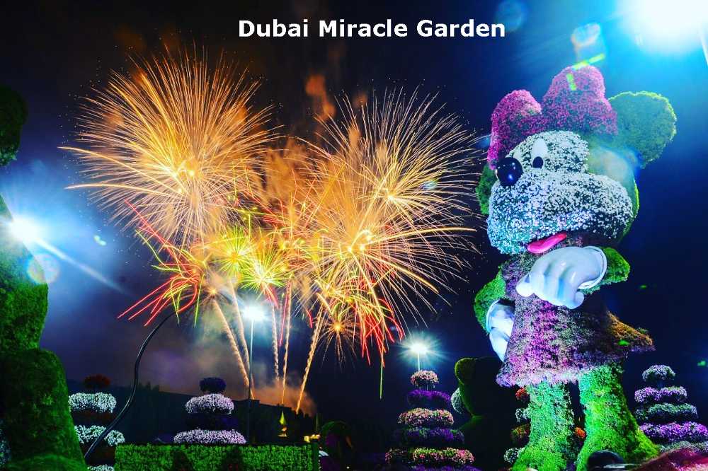 A stunning sight of Dubai Miracle Garden featuring a large Mickey Mouse amidst lush greenery, complemented by a backdrop of fireworks.