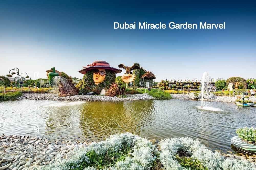 A delightful sight of floral embellishments at Dubai Miracle Garden Marvel, perfect for families to enjoy fo free